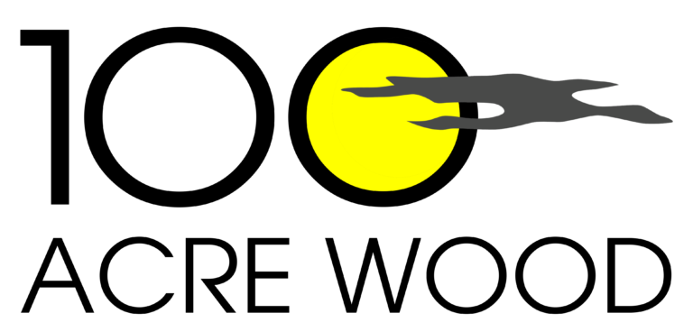 Rally in the 100 Acre Wood Logo
