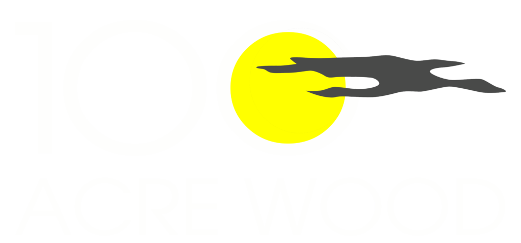 Rally in the 100 Acre Wood Logo - White Text